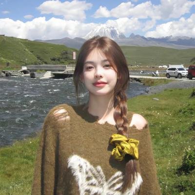 上天下地大追击